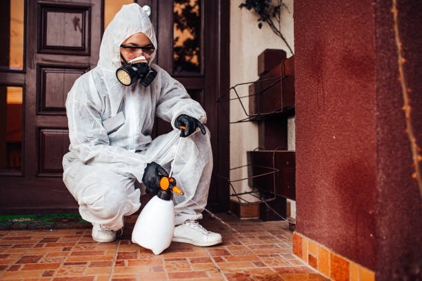 Reliable Termite Control contractor in Bethel Park, PA by Nex Pest Control