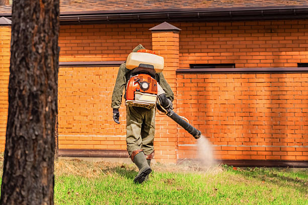 Trusted Cockroach Control service in Bethel Park, PA - Nex Pest Control